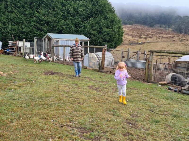 Oberon: Kenzell Farm Tour A Hands-On Animal Adventure! - Who Will Love This Tour?