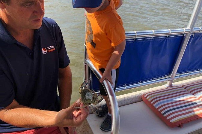 OC Bay Hopper Crabbing - What Do Travelers Say?