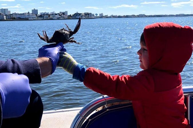 OC Bay Hopper Crabbing - Who Is This Tour Best For?
