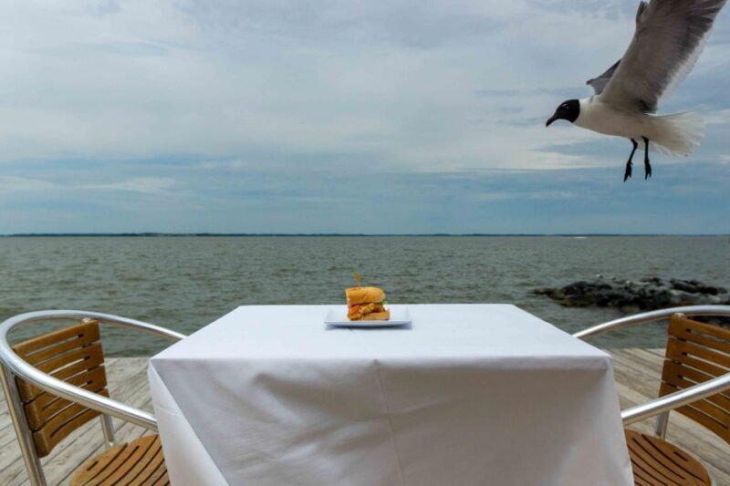 Ocean City: Bay Hopping Food Boat Tour with Tastings - The Itinerary: What to Expect