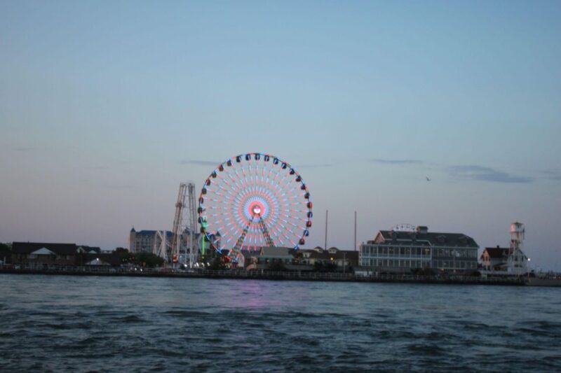 Ocean City, MD: Coastal Speedboat Tour with Dolphin Spotting - What to Expect from the Speedboat Tour