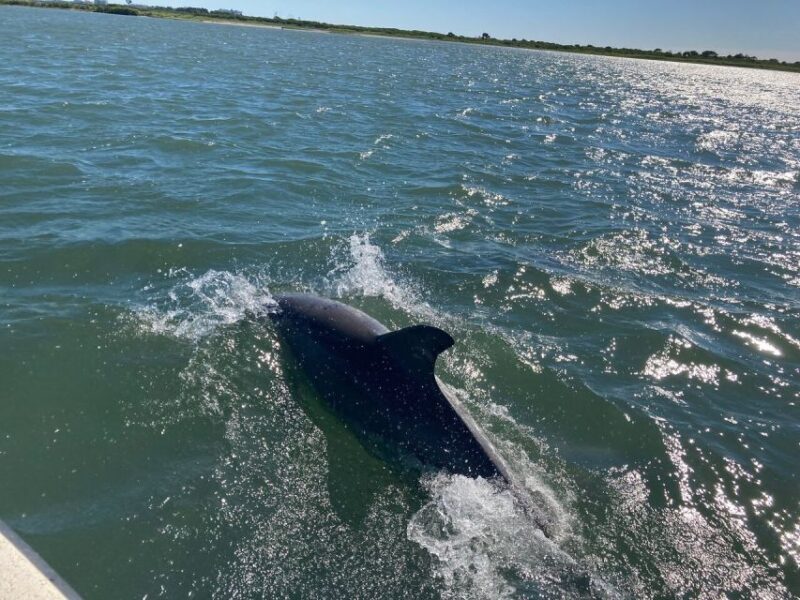 Ocean City: Sailing Catamaran Cruise with Crew - Who Will Love This Cruise?