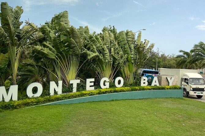 Ocean Eden bay coral spring EXCLUSIVE private airport transfer - An In-Depth Look at the Ocean Eden Bay Coral Spring Private Transfer Experience