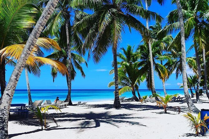 Ocean El Faro Resort - Round Trip Shuttle - Punta Cana Airport - FAQs about the Ocean El Faro Shuttle