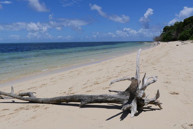 Ocean Free 25 guest Great Barrier Reef & visit Green Island Tour - FAQs