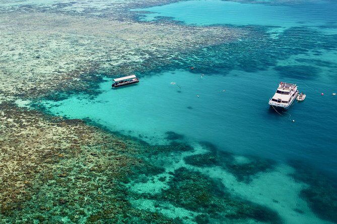 Ocean Freedom Great Barrier Reef Luxury Snorkel and Dive Cruise - Who Will Love This Tour?