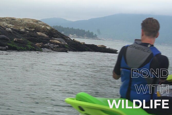 Ocean is Yours Seadoo Experience from Vancouver - FAQ