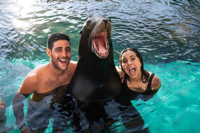 Ocean Mania & water park experience in Puerto Vallarta - Who Should Consider This Tour?