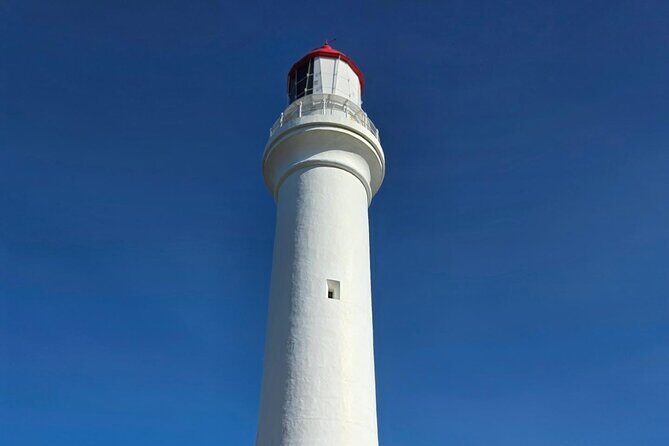 Ocean Road Private Tour from Melbourne - Analyzing the Value