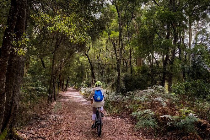 Ocean Road Scenic Bicycle Ride in Port Campbell or Timboon - Key Points