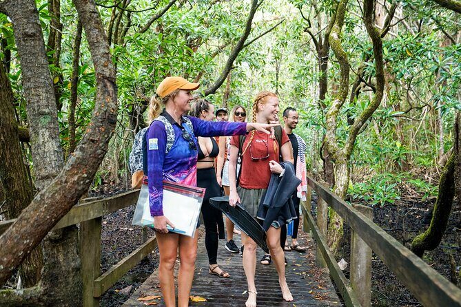 Ocean Safari Great Barrier Reef Experience in Cape Tribulation - Final Thoughts: Is This Tour Worth It?