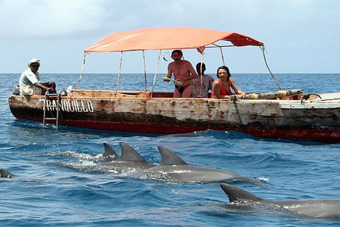 Ocean safari tour - An In-Depth Look at the Ocean Safari Tour