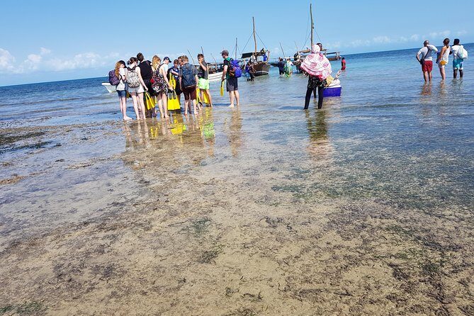 Ocean safari tour - Frequently Asked Questions