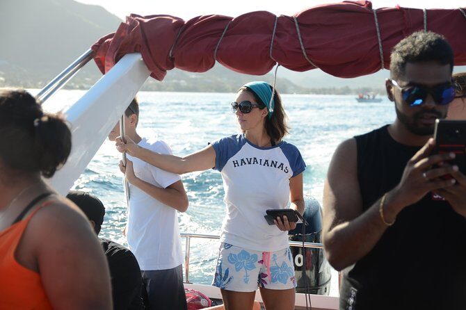 Ocean Swim with Dolphins - An Overview of the Experience