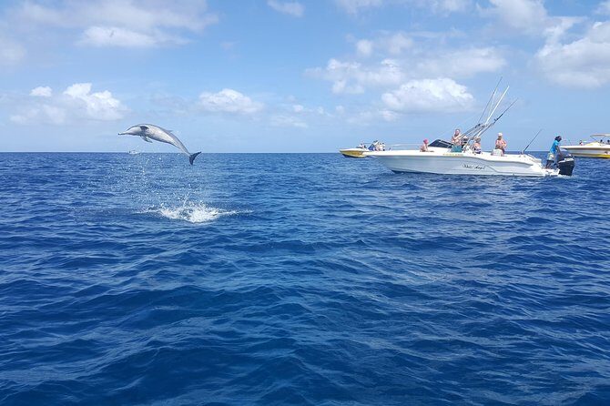 Ocean Swim with Dolphins - Frequently Asked Questions