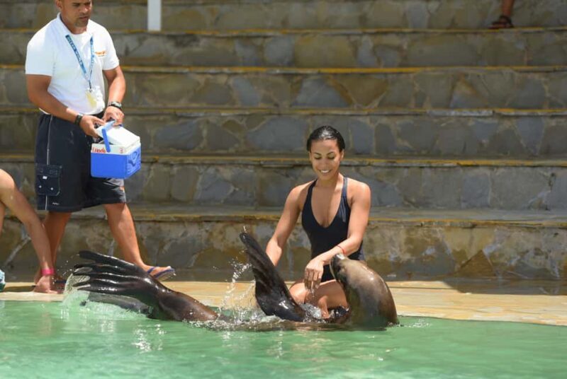 Ocean World Dolphin Swim & Sea Lion Combo from Puerto Plata - Key Points