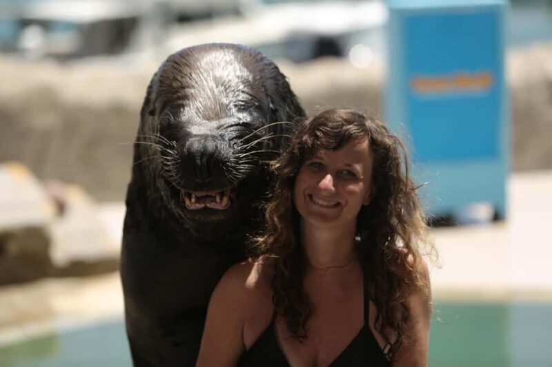 Ocean World Dolphin Swim & Sea Lion Combo from Puerto Plata - An In-Depth Look at the Experience