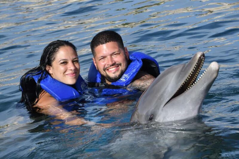 Ocean World Dolphin Swim & Sea Lion Combo from Puerto Plata - Authenticity and Review Insights