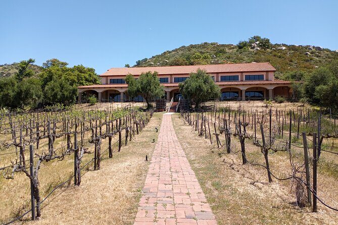 Oceanside, Auto Museum & Winery Tour & Tasting - Final Thoughts: Is This Tour Worth It?