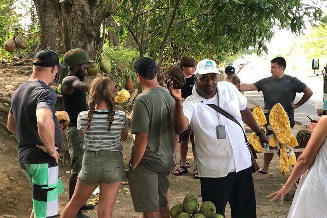 Ocho Rios City Bus Tour (Beach, Sightseeing & Shopping) - A Practical Guide to the Ocho Rios City Bus Tour