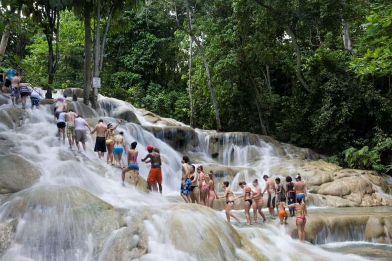 Ocho Rios: Dunns River Falls & Reggae Hill Tour - Ocho Rios: Dunns River Falls & Reggae Hill Tour