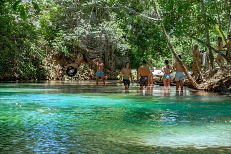 Ocho Rios: Dunns River Falls & Reggae Hill Tour - What Makes This Tour Stand Out?