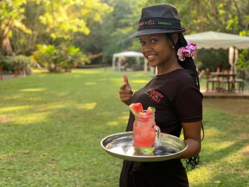 Ocho Rios: Dunns River Falls & Reggae Hill Tour - Final Thoughts