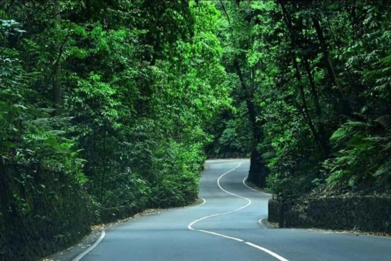 Ocho Rios: Guided Sightseeing Tour - Who Should Consider This Tour?