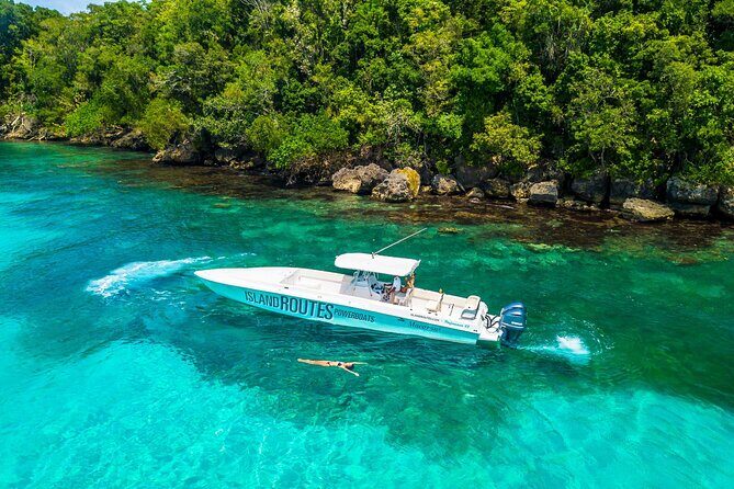 Ocho Rios Powerboat & Dunns River Falls Adventure - The Value of the Experience