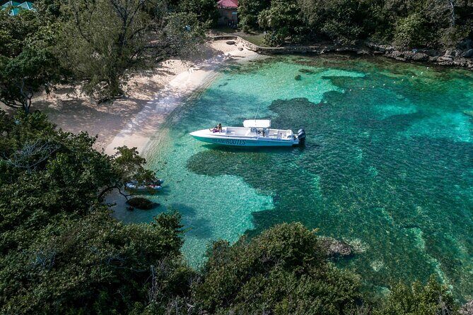 Ocho Rios Powerboat & Dunns River Falls Adventure - Who Would Love This Tour?