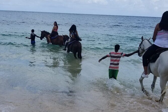 Ocho Rios Private Horse Riding, River Tubing and Rafting[Entry fee not included] - Value Analysis