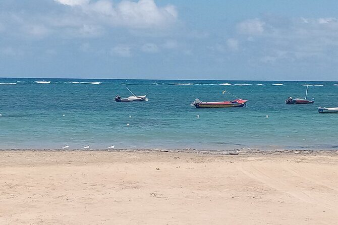 Ocho Rios Scenic Views, Culture and Adventure - FAQ