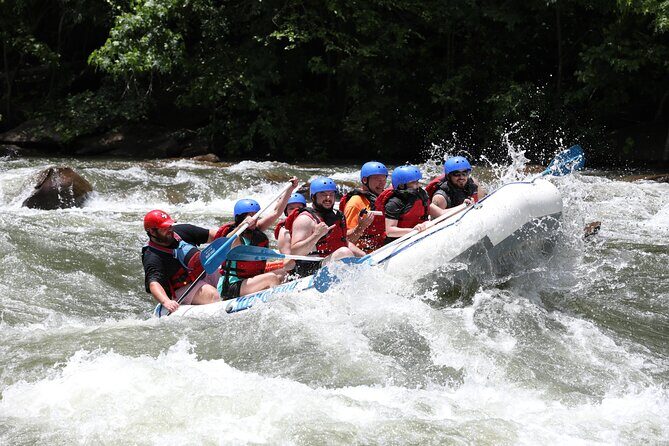 Ocoee River Middle Whitewater Rafting Trip (Most Popular Tour) - The Balance: Pros and Cons