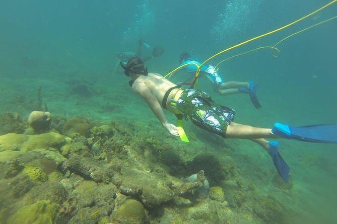 OCTOPUS DIVING (hookah diving) NO Experience Needed - Key Points