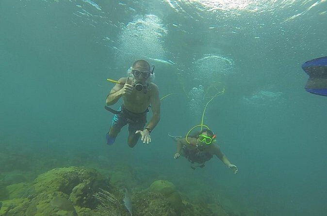 OCTOPUS DIVING (hookah diving) NO Experience Needed - What is Octopus Diving? An Accessible Marine Adventure