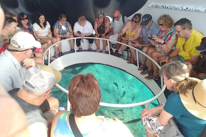 Oculus Glass Bottom Boat Tour - The Sum Up