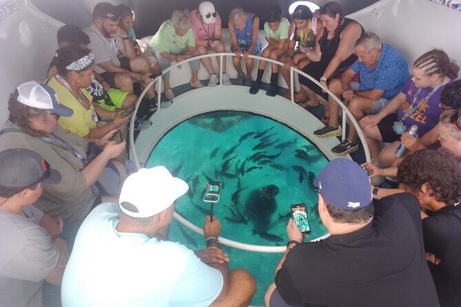 Oculus Glass Bottom Boat Tour - FAQ