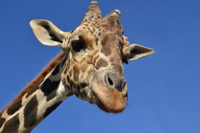 Of Monterrey Biopark Star - Key Points