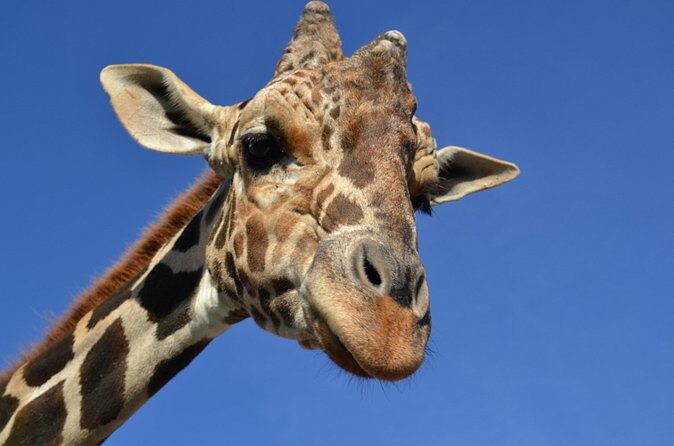 Of Monterrey Biopark Star - Authentic Experiences and Traveler Feedback