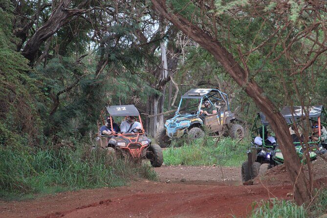 Off-Road ATV & 3 Zipline Tour (Optional Waikiki Transportation) - Who Should Consider This Tour?