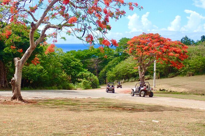 Off-Road Buggy Adventure - Who Should Consider This Tour?