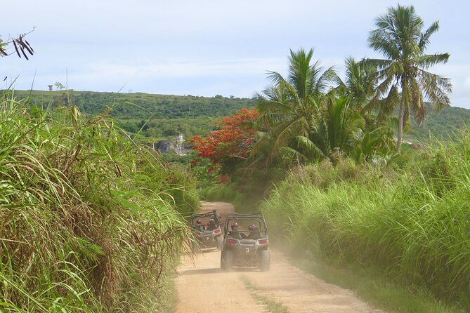 Off-Road Buggy Adventure - FAQs
