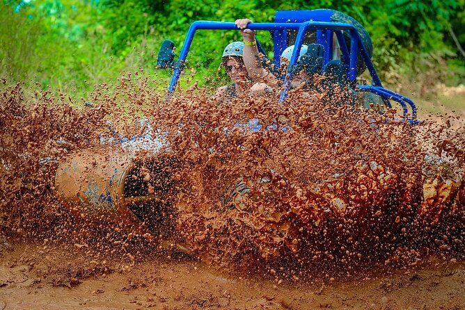 Off Road Buggy Adventure - The Bottom Line