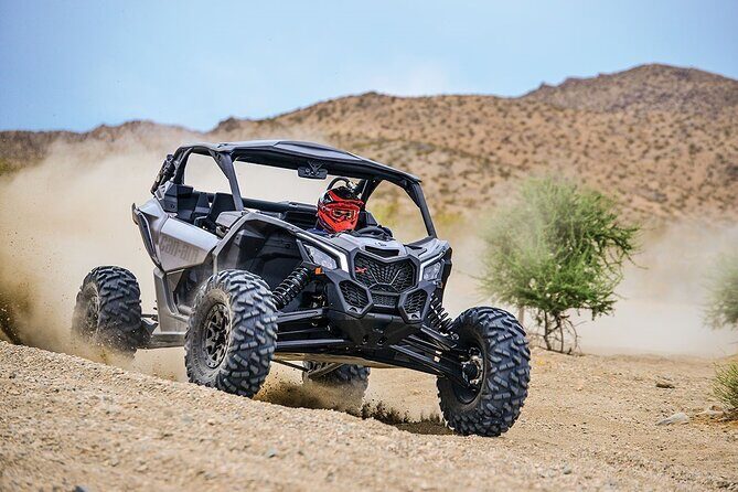 Off-Road Cabo Adventure: Desert & Beach Ride Plus Tequila Tasting - Off-Road Cabo Adventure: Desert & Beach Ride Plus Tequila Tasting — A Balanced Look
