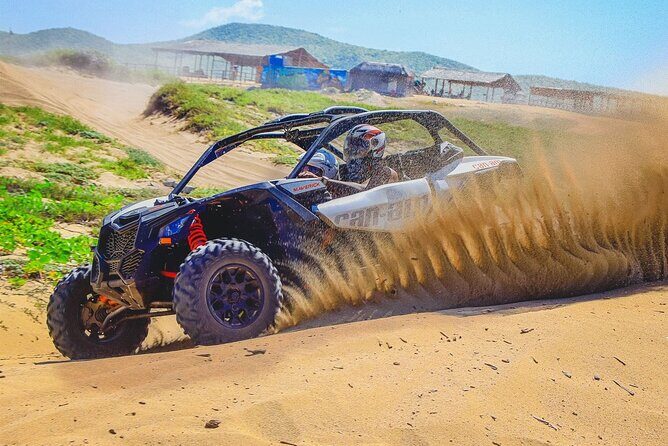 Off-Road Cabo Adventure: Desert & Beach Ride Plus Tequila Tasting - Overview of the Experience