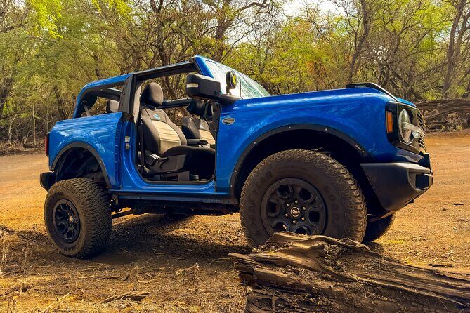Off Road Coastal Tour 4x4 Vehicle With Snorkel, Photo and Video - What to Expect from the Maui Off Road Coastal Tour