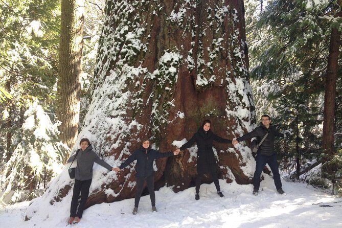 Off-Road Giant Sequoia 4x4 Tour - The Experience in Detail