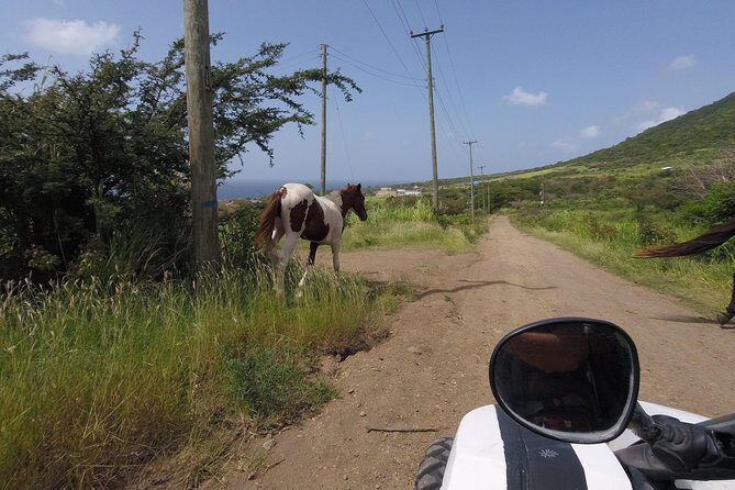 Off roading Morning Excursion - A Closer Look at the Experience