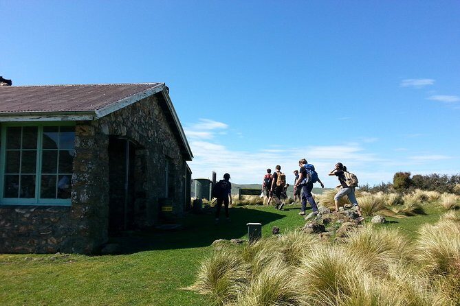 Off The Beaten Track- Packhorse Hut Guided Walk(Small Group Tour) - The Sum Up: Who Should Consider This Tour?