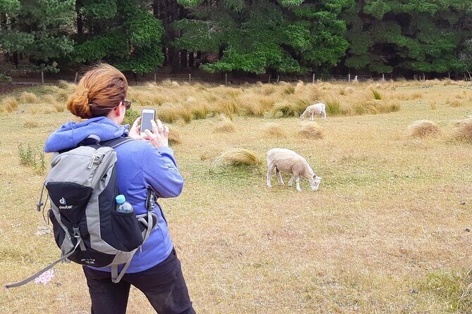 Off The Beaten Track- Packhorse Hut Guided Walk(Small Group Tour) - FAQs